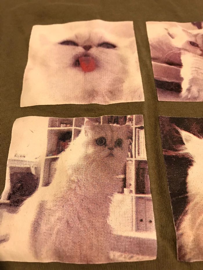 T-shit 12 ans - photo numéro 3