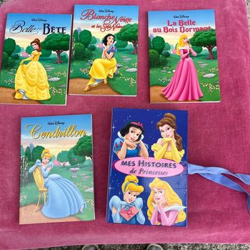 4 livres de  Disney  princesse  avec le coffret .