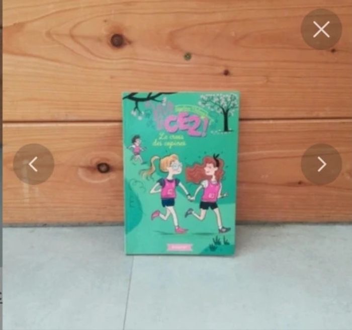 Livre vive le CE2 le cross des copines