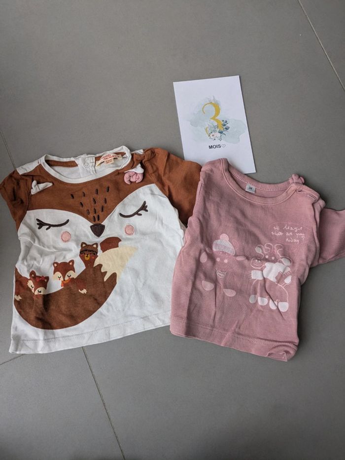 Lot 11 tee-shirt manches longues 3 mois - photo numéro 4