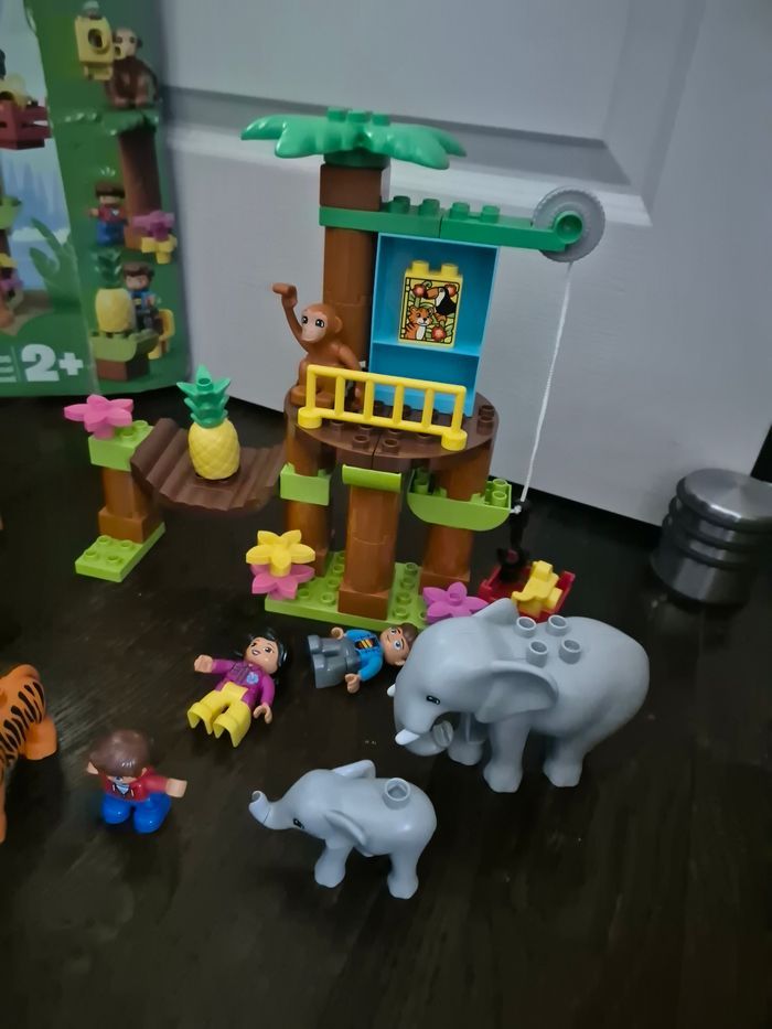 Foret tropicale jungle duplo - photo numéro 3