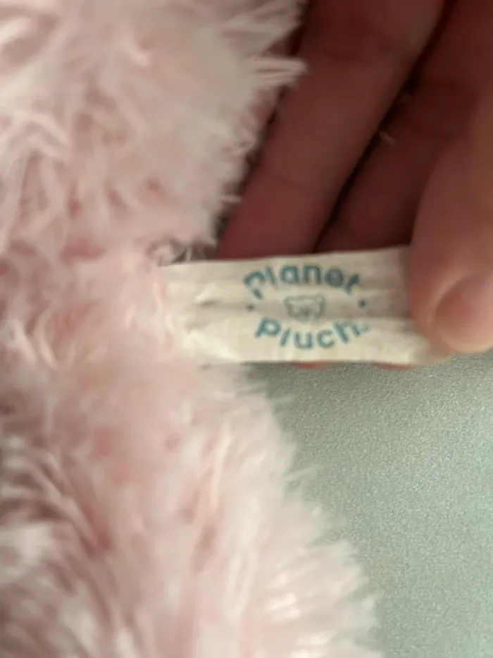 Peluches - photo numéro 3
