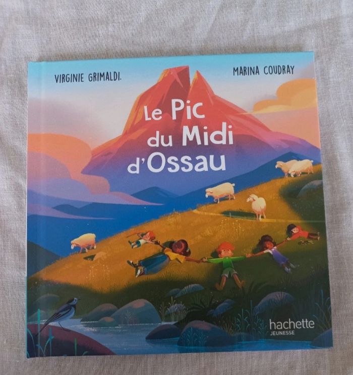 Livre : Le Pic du Midi d'Ossau du MacDonald's
