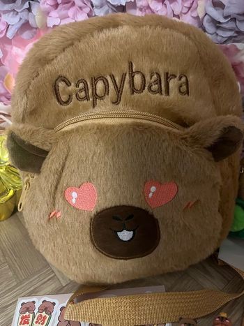 15 articles capybara