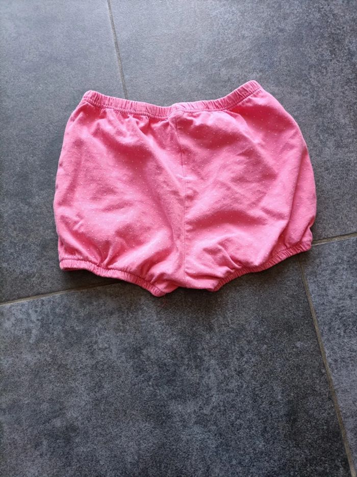 Short rose - photo numéro 3