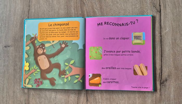 Livre Les Trouvinettes Les incollables - photo numéro 6