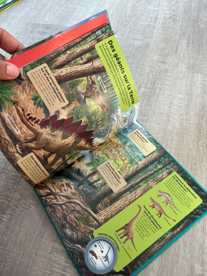 Livre question réponse - photo numéro 3