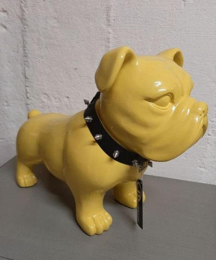 Bouledogue jaune