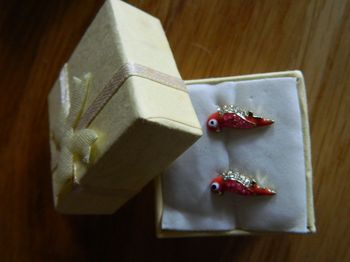 Boucles d'oreilles fantaisies perroquets neuves