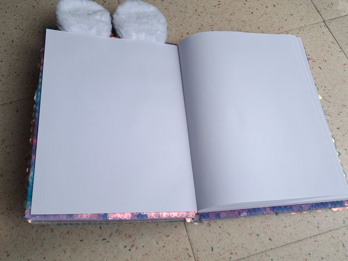 cahier clairés s neuf - photo numéro 2