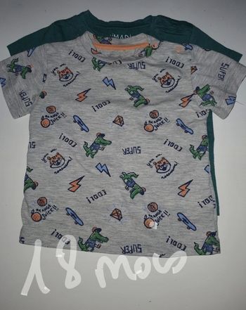 Lot 2 t-shirt bebe