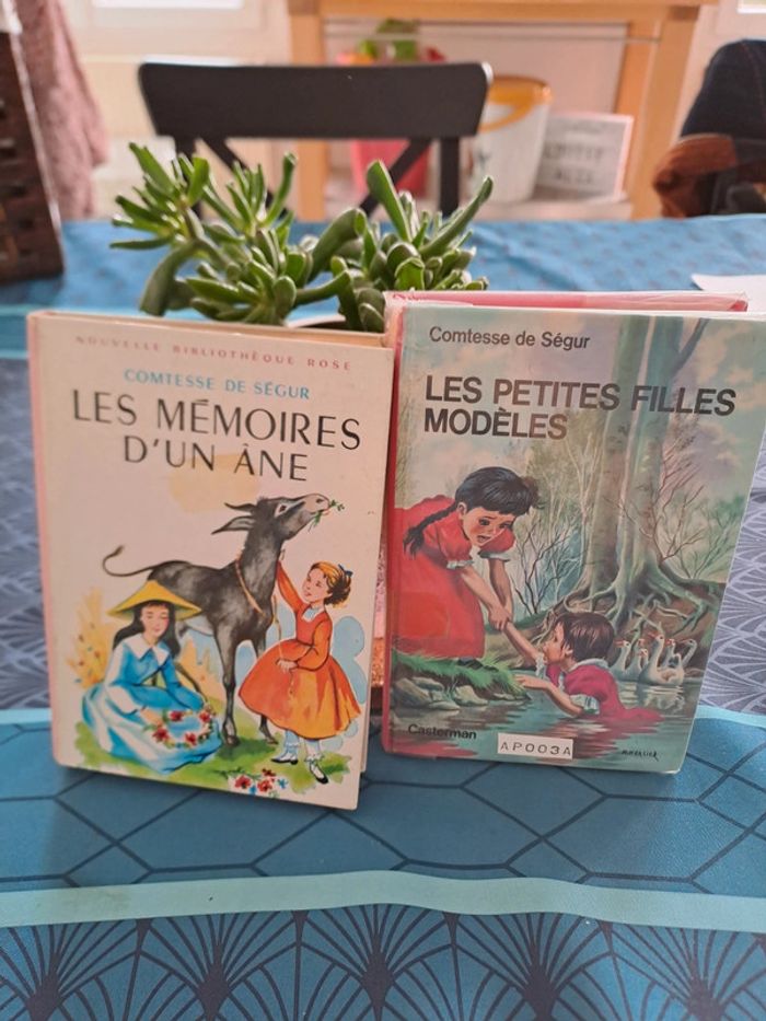 Lot 2 livres Bibliothèque Rose, Comtesse de Ségur