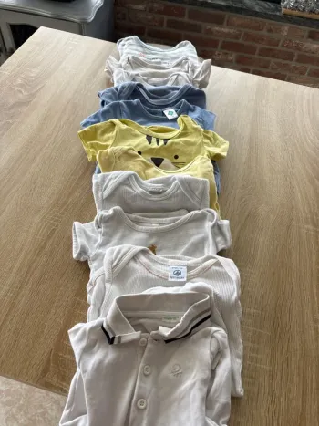 Lot 11 Bodies