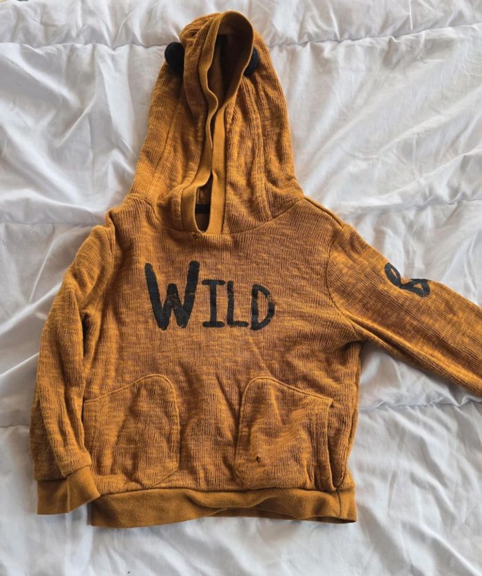 Pulls bebe garcon - photo numéro 5