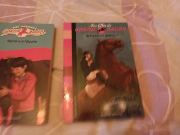 Lot de 2 livres grand galop - photo numéro 3