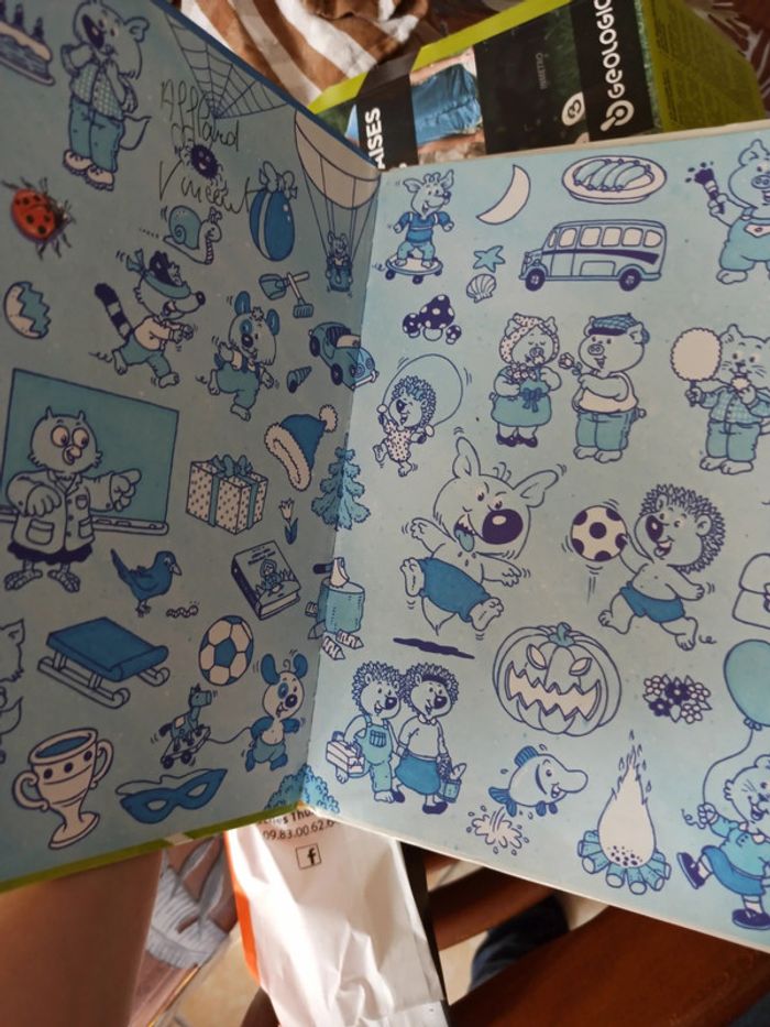 Livre Mini-Loup champion de foot - photo numéro 4