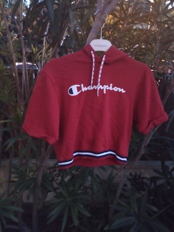 Pull Croc top champion