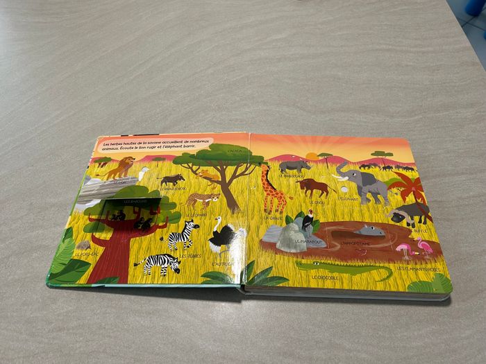 Livre sonore "Les Animaux du Monde" - photo numéro 3