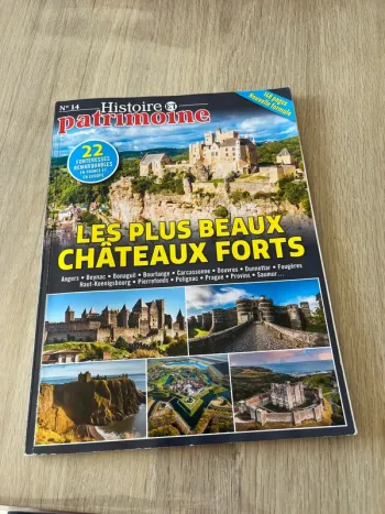 Les plus beaux châteaux forts