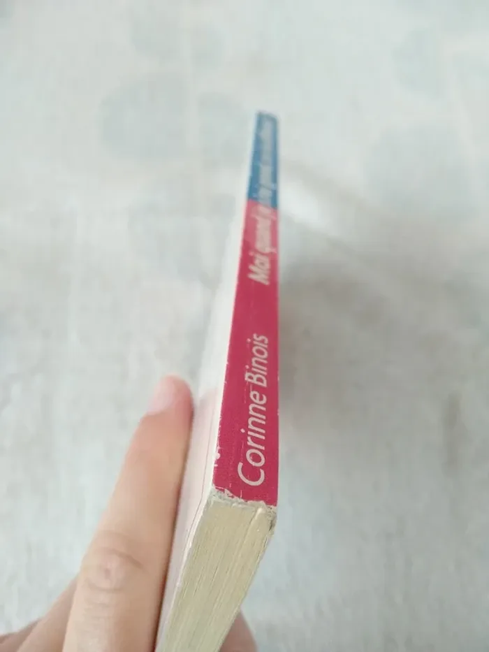 Moi quand je s'rai grand ce s'ra différent ! - photo numéro 5