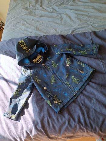 Veste