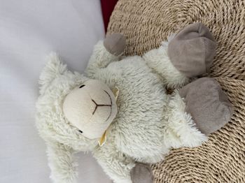 Doudou bouillotte bébé Mouton