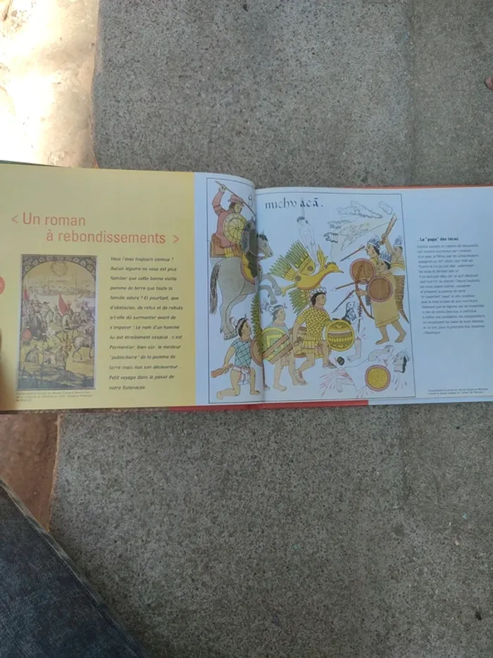 Livre la pomme de terre d'hier et d'aujourd'hui - photo numéro 8