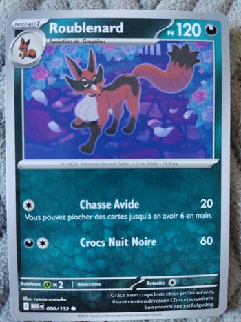 Carte Roublenard 090/132 ME01-Méga-évolution 