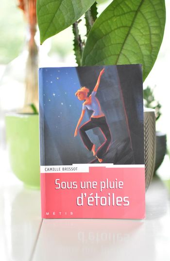 Sous une pluie d'étoiles