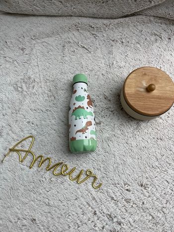 Gourde enfant dinosaures - Vert pale - Rex