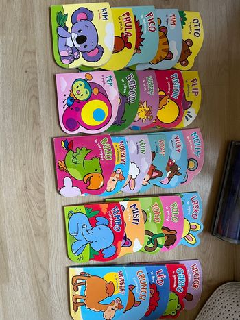 Lot 26 livres 