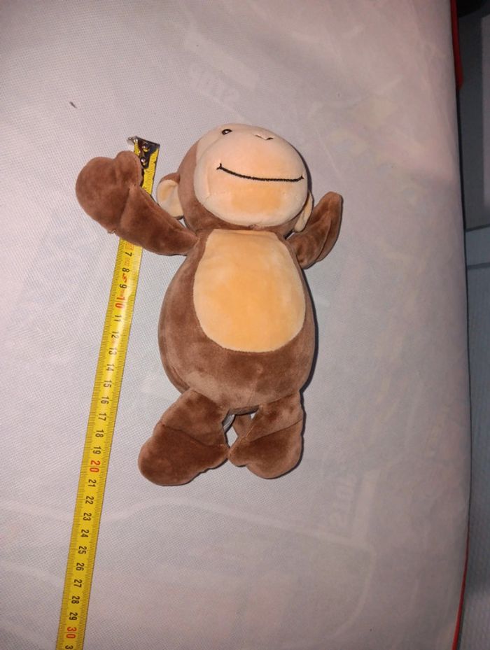 Singe - photo numéro 3