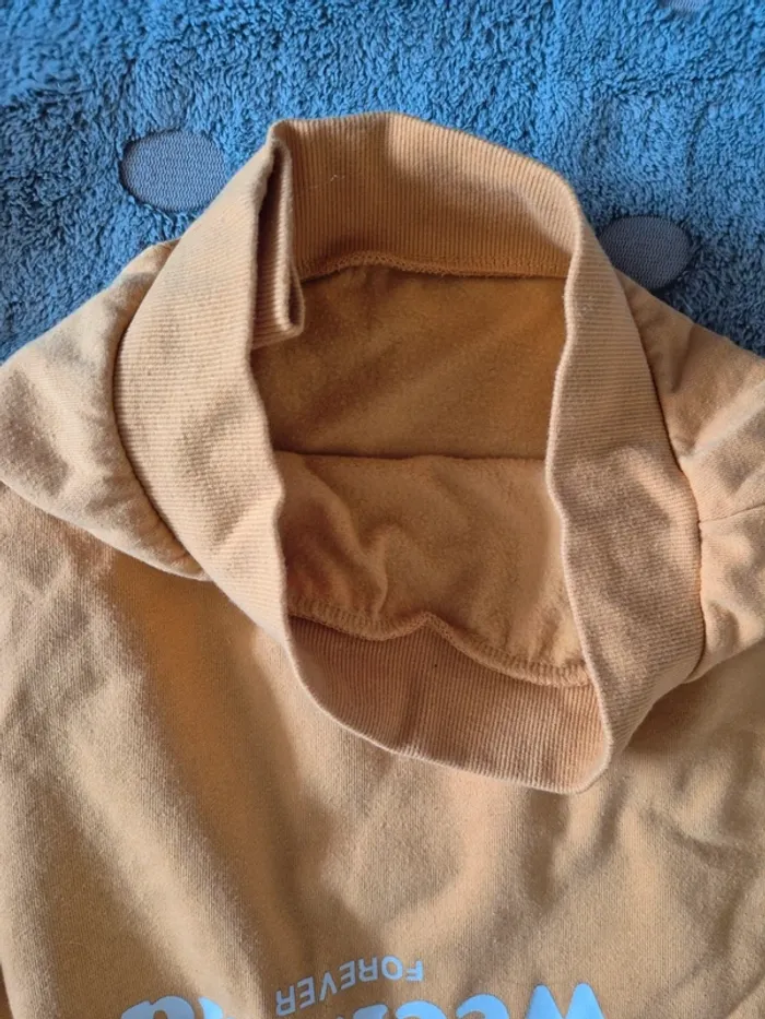 Sweat à capuche XXS 12 ans - photo numéro 3