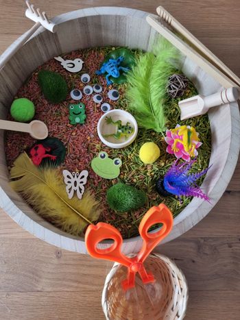 Kit de transvasement sensoriel Grenouilles inspiré Montessori