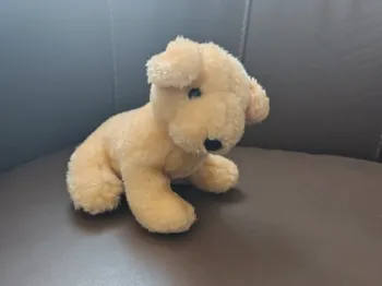 Mini peluche chien beige labrador ?