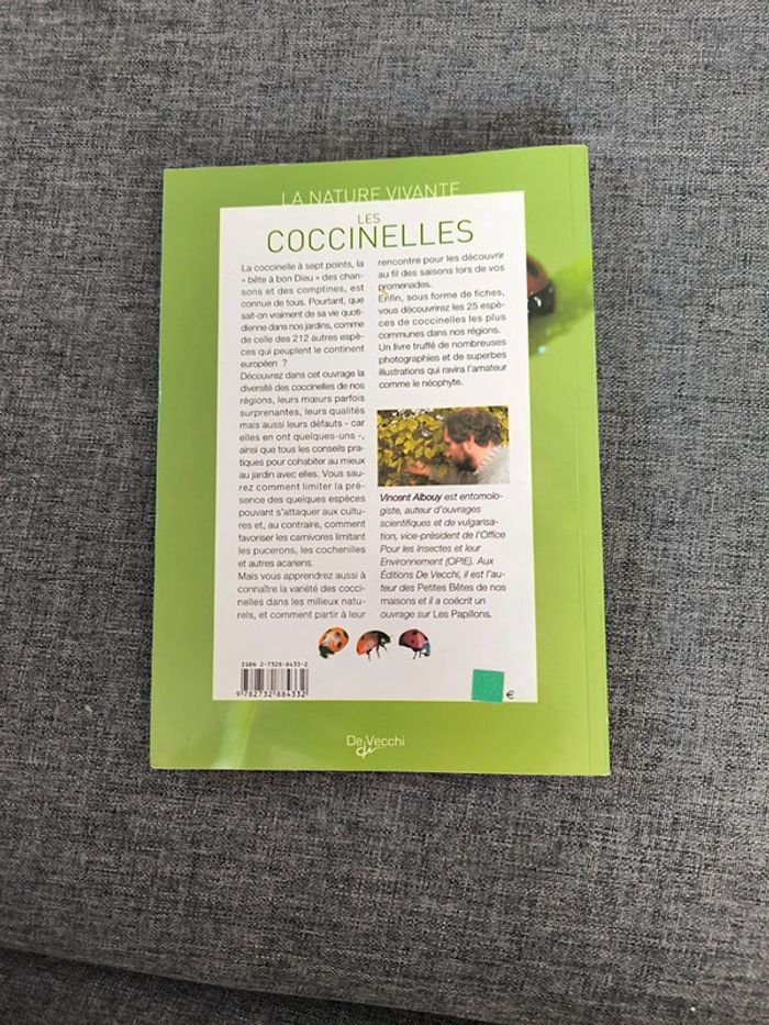 Les coccinelles - photo numéro 2
