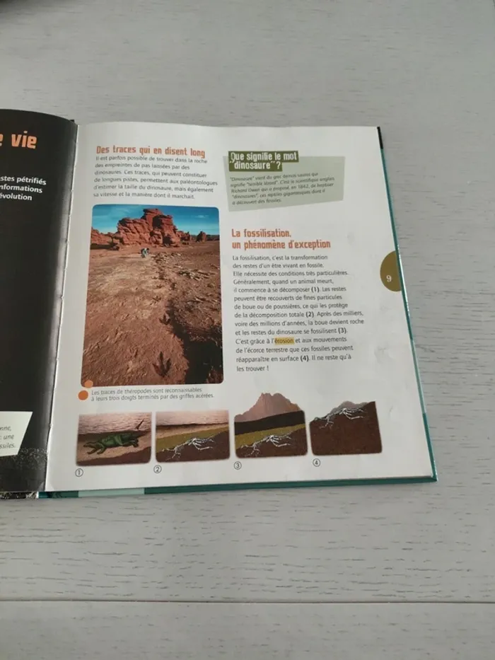 livre "Les Dinosaures" avec DVD - photo numéro 6