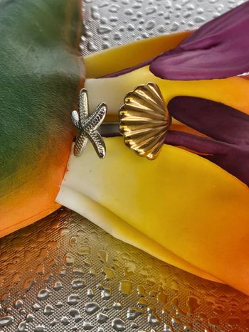 Bague étoile de mer et coquillage bicolore en acier inoxydable