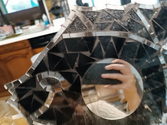 Miroir poisson - photo numéro 3