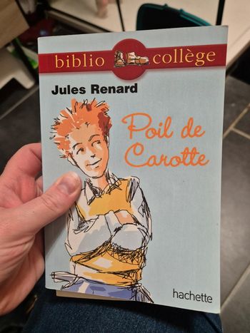 Livre poil de carotte