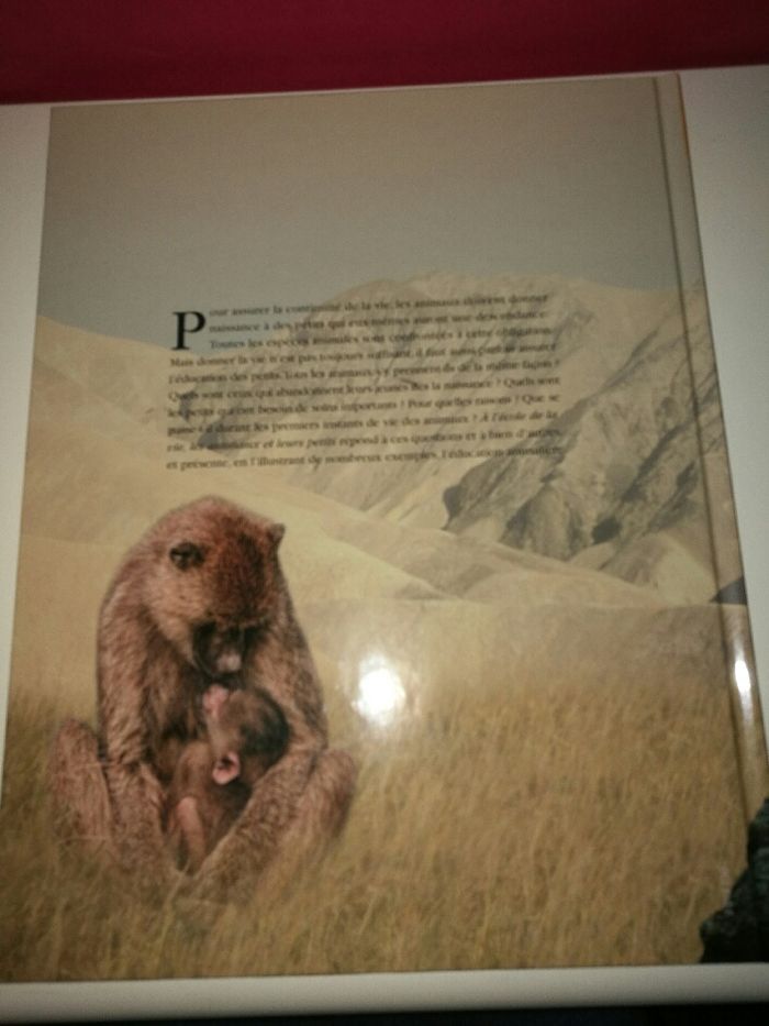 Livre les animaux et leurs petits - photo numéro 2