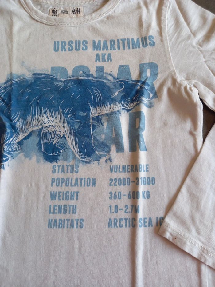 Tee Shirt manches longues 8 ans - photo numéro 2