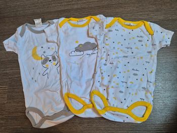 Lot de 3 bodys MC