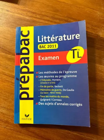 Prépa bac, examen pour réussir à l’examen littérature