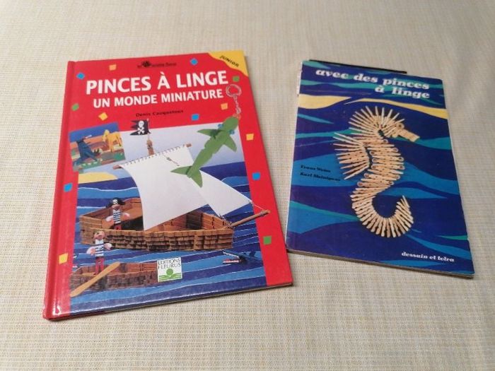 Livres activités pince a linge