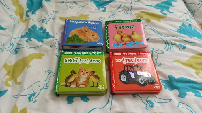 Lot livres Touche à tout