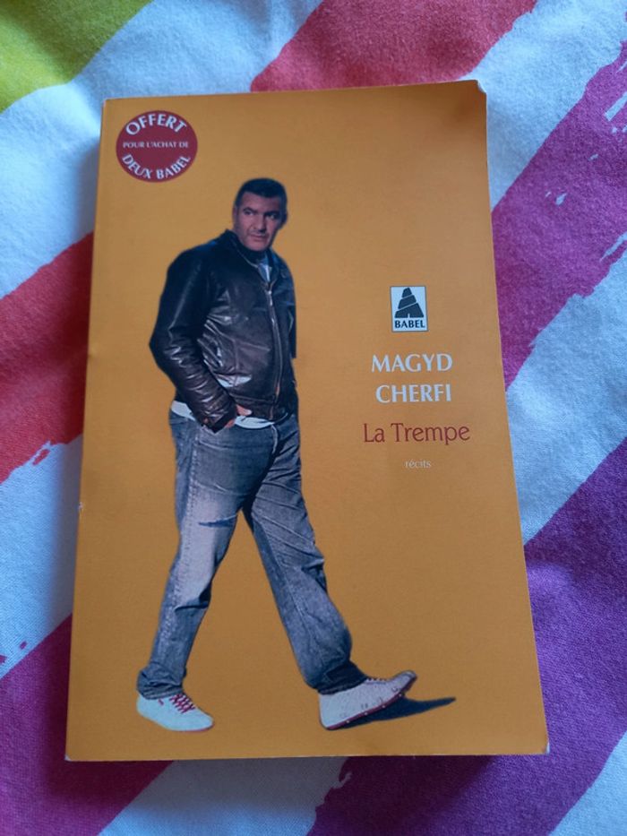 Livre magyd cherfi