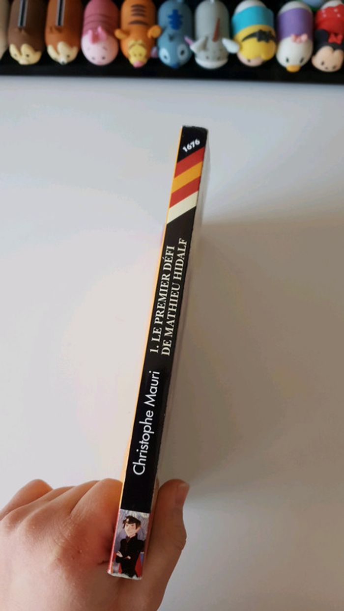 Livre Mathieu Hidalf - photo numéro 2