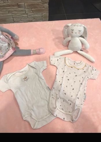 Lot de 2 bodies Absorba