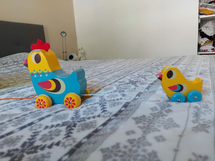 Poule et poussin à tirer - photo numéro 3